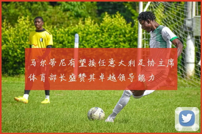 马尔蒂尼有望接任意大利足协主席体育部长盛赞其卓越领导能力